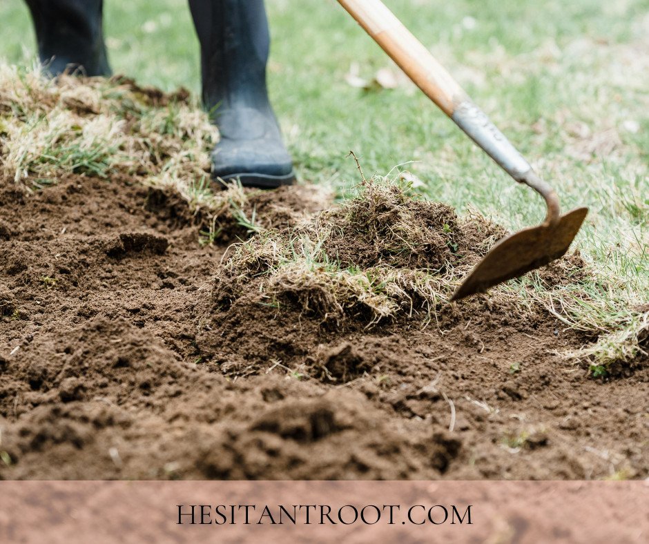 Start Your Vegetable Garden: A Simple Beginner’s Guide