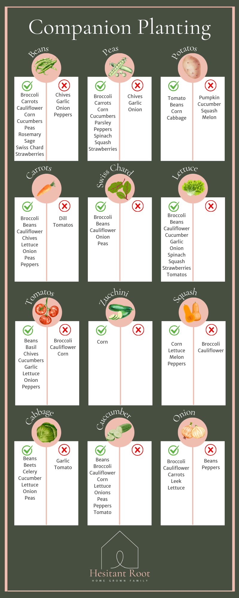 Start Your Vegetable Garden: A Simple Beginner’s Guide