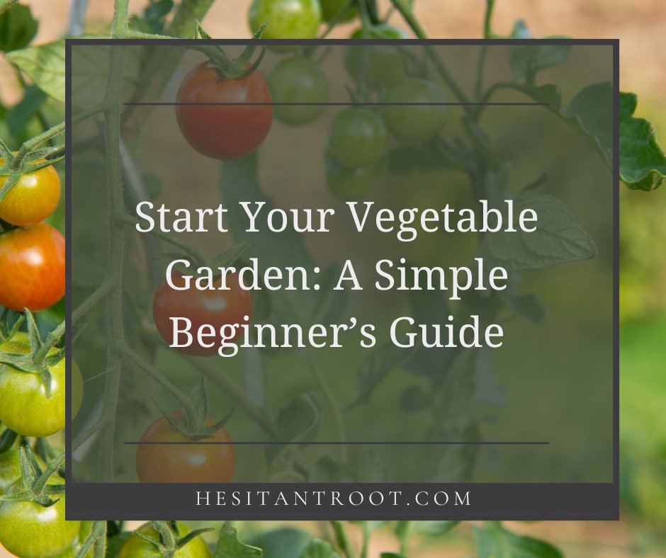 Start Your Vegetable Garden: A Simple Beginner’s Guide