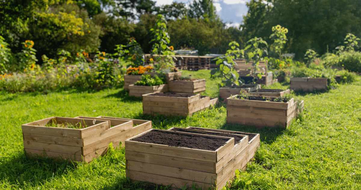 Where to put the garden