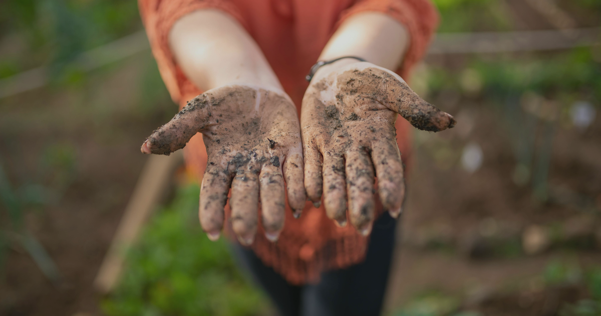 Homesteading