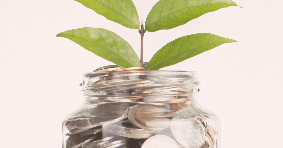 budget homestead projects