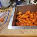 canning step one