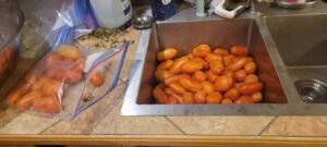 canning step one