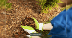how to prepare soil for winter garden bed