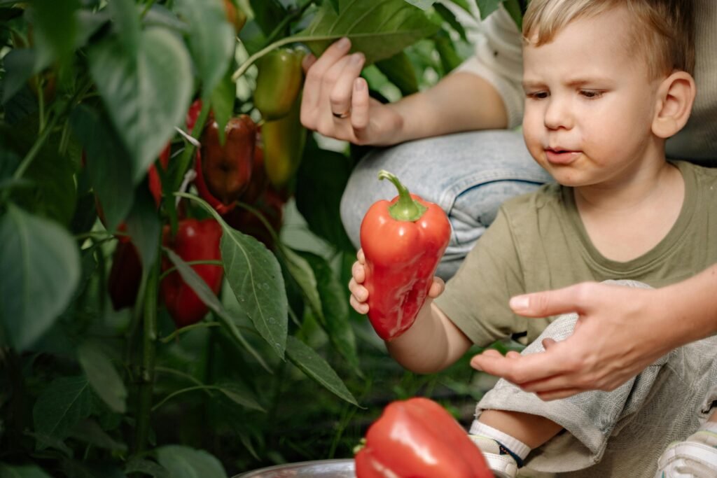 harvesting first vegetables from a beginner backyard garden